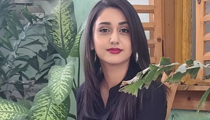 تمام بھارتی فنکاروں کو اَن فالو اور بلاک کر دیا جائے: دانیہ انور