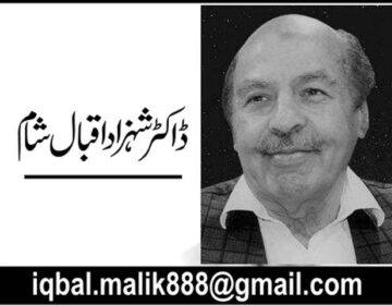   تین اسلامی جمہوریے گرم لوہا اور بنیان مرصوص 