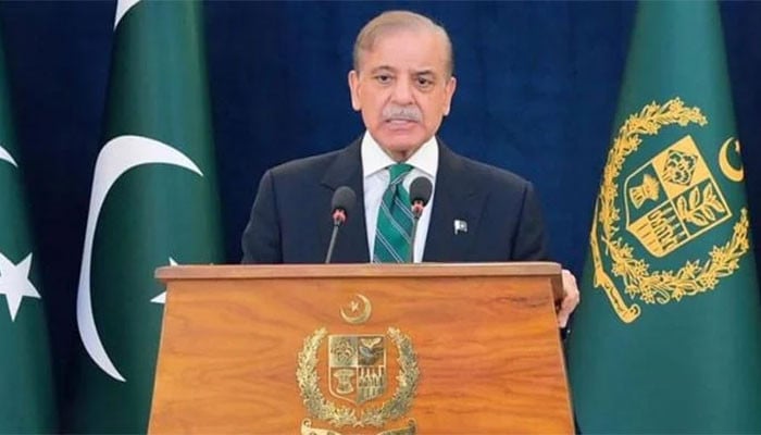 خضدار میں اسکول بس پر حملہ بھارتی سرپرستی میں دہشتگردی کی بدترین مثال ہے، وزیراعظم شہباز شریف