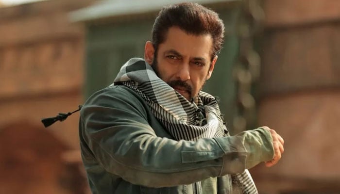 سلمان خان کا پاکستان کے حق میں بیان، پرانا کلپ پھر وائرل