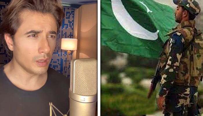 علی ظفر کا میڈم نورجہاں کا نغمہ گا کر پاک افواج کو سلام