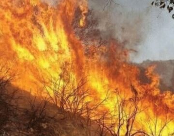 مالاکنڈ: پہاڑی سلسلے میں لگی آگ 8 دن بعد بھی بےقابو