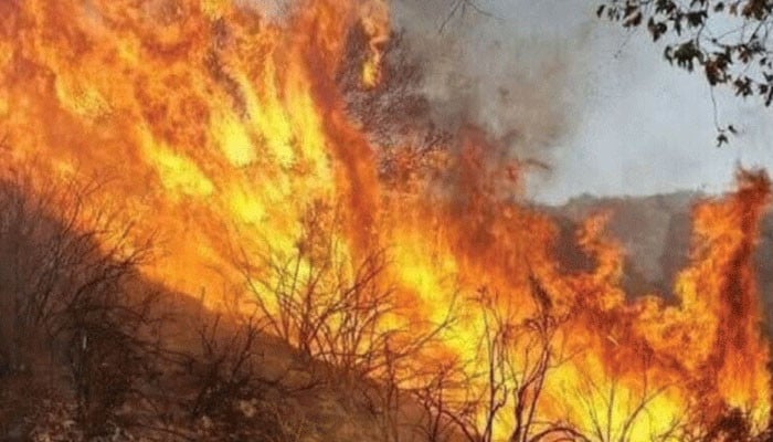 مالاکنڈ: پہاڑی سلسلے میں لگی آگ 8 دن بعد بھی بےقابو