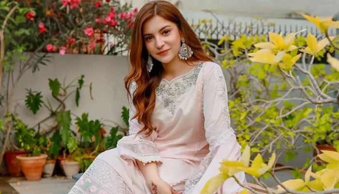 ’پاری گرل‘ دنانیر مبین جلد فلمی دنیا میں قدم رکھیں گی