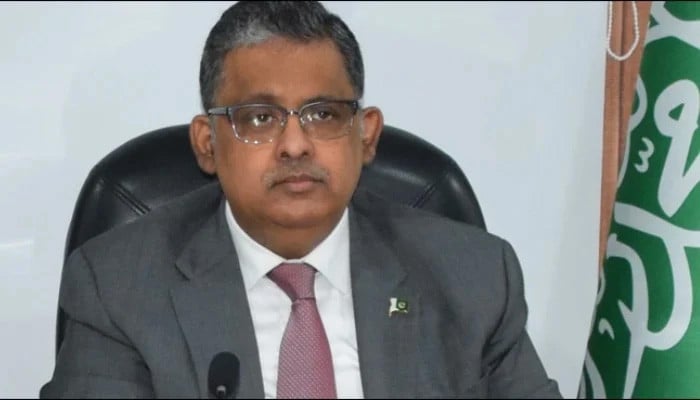 پاکستان اور بھارت میں جنگ بندی نازک ہے، رضوان سعید