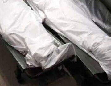 پشاور: آندھی کے باعث درخت گرنے سے  2 افراد جاں بحق، 3 زخمی