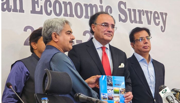 1 اعشاریہ 9 بلین کا تاریخی کرنٹ اکاؤنٹ سرپلس ریکارڈ، اقتصادی سروے