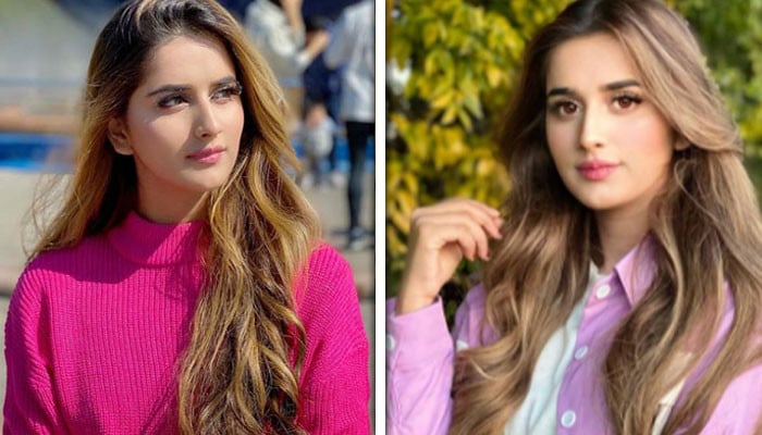 حج کیلئے مکمل جہاز کی بکنگ، علشبہ انجم نے اصل کہانی بتادی