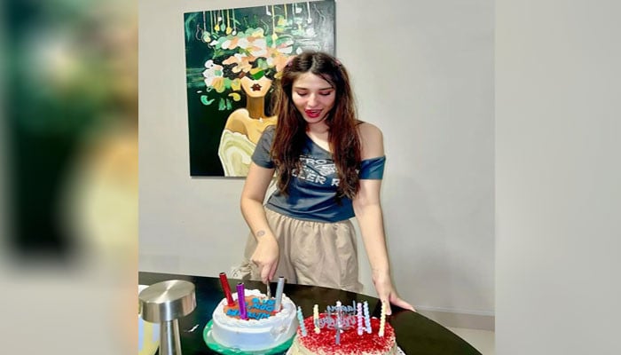 رمشا خان نے پینٹنگ سے متاثر ہوکر بولڈ ڈریسنگ کرلی؟