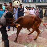 عیدالاضحیٰ کا پہلا دن مذہبی جوش و جذبے سے منایا گیا