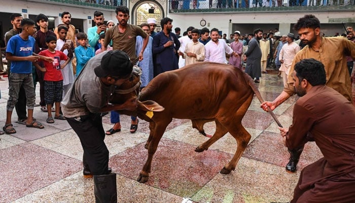 عیدالاضحیٰ کا پہلا دن مذہبی جوش و جذبے سے منایا گیا