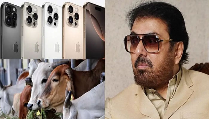 قربانی کے جانور اور آئی فون کا موازنہ، نعمان اعجاز کو شدید تنقید کا سامنا