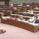 قومی اسمبلی: جمشید دستی کی ناک سے لکیریں نکالنے کی ویڈیو سامنے آگئی