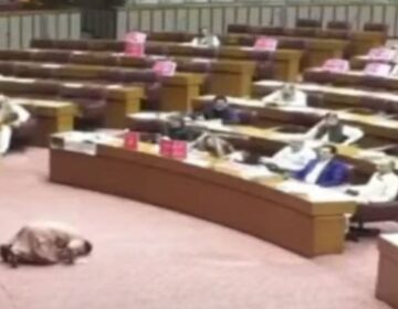 قومی اسمبلی: جمشید دستی کی ناک سے لکیریں نکالنے کی ویڈیو سامنے آگئی