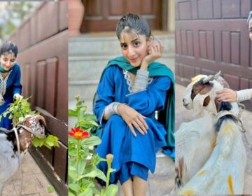 ماورا کی شادی کے بعد پہلی عید، بکروں کیساتھ تصاویر شیئر کردیں، شوہر کیساتھ تصویر کی منتظر