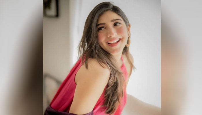 معاشرہ مین ڈومینیٹڈ ہے، خودمختار خواتین کو ناپسند کیا جاتا ہے: مریم نفیس