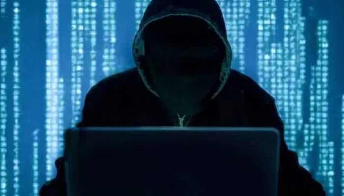 ملتان، اربوں روپے کے آن لائن فراڈ کے 2 مرکزی ملزمان گرفتار