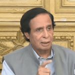 ن لیگی عوام کو نہیں بلکہ خود کو بے وقوف بنا رہے ہیں، چوہدری پرویز الہٰی