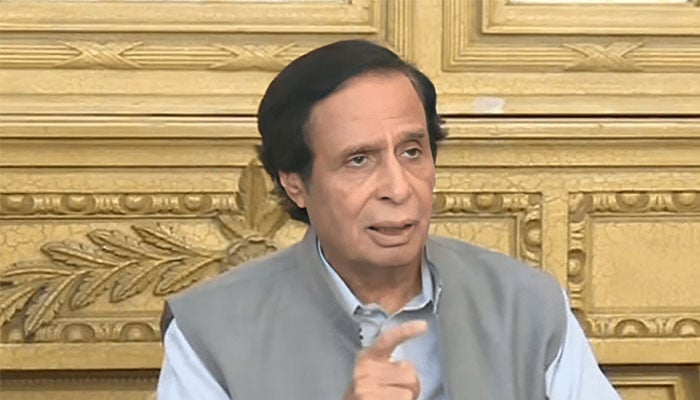 ن لیگی عوام کو نہیں بلکہ خود کو بے وقوف بنا رہے ہیں، چوہدری پرویز الہٰی