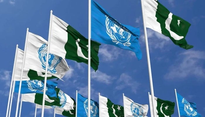 پاکستان اگلے ماہ سلامتی کونسل کی صدارت سنبھالے گا