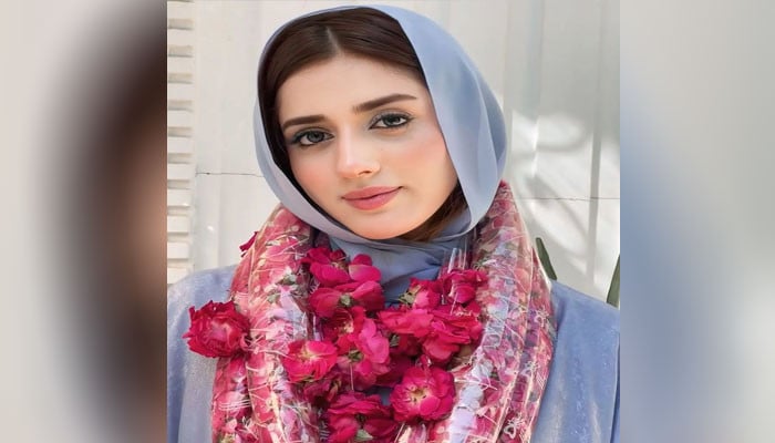 کیا جنت مرزا نے حج پر جانے کےلیے پورا جہاز بک کروایا تھا؟