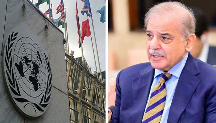 یو این کی کمیٹیوں اور گروپ کی ذمے داری پاکستان کو سونپ دی گئی: وزیرِ اعظم شہباز شریف